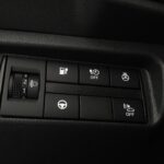 Nissan Leaf - XDF - biała perła + czarny dach -
              Nissan Odyssey